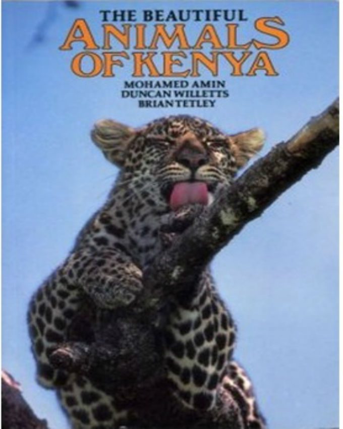 Beautiful-Animals-of-Kenya
