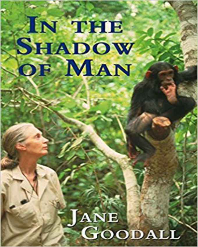 In-the-shadow-of-man