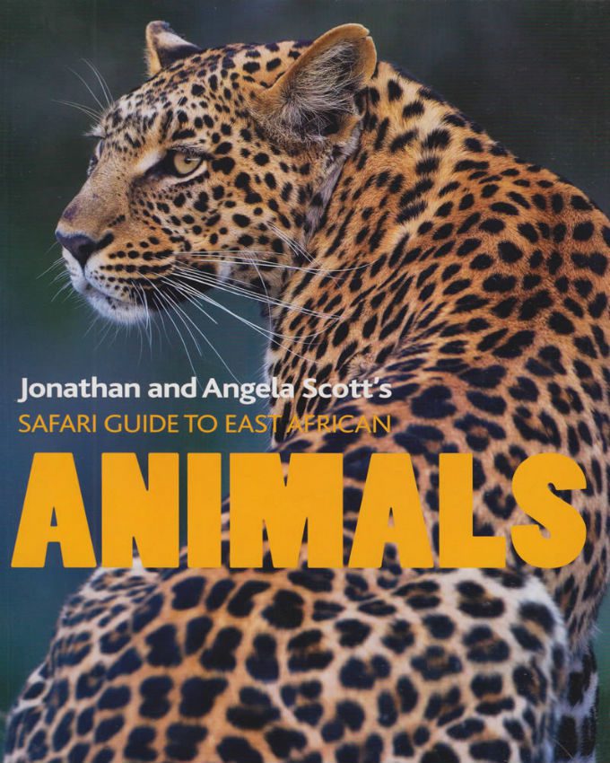 Safari-Guide-to-East-African-Animals