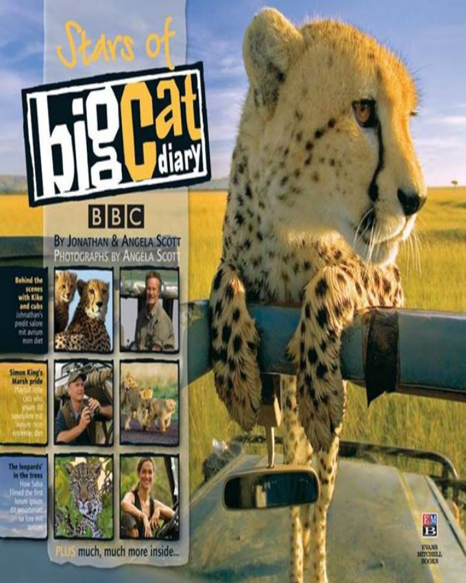 Stars-of-Big-Cat-Diary