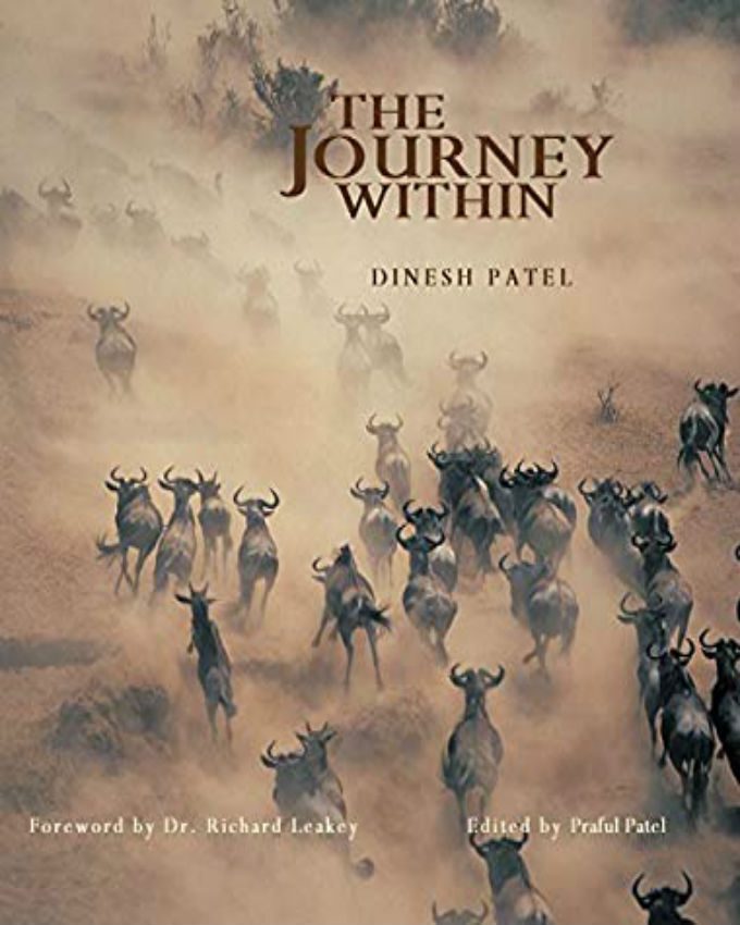 The-Journey-Within