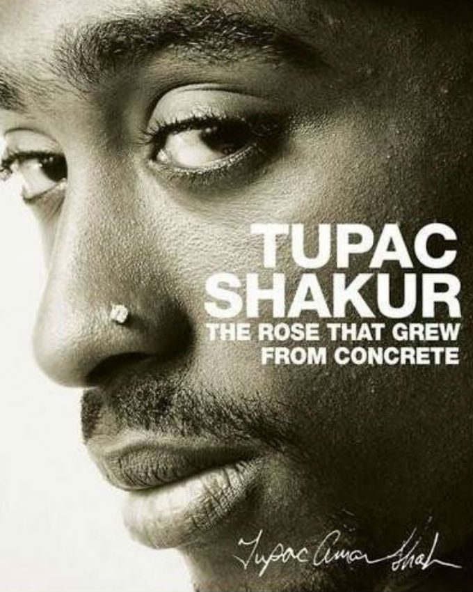 The-Rose-That-Grew-from-Concrete