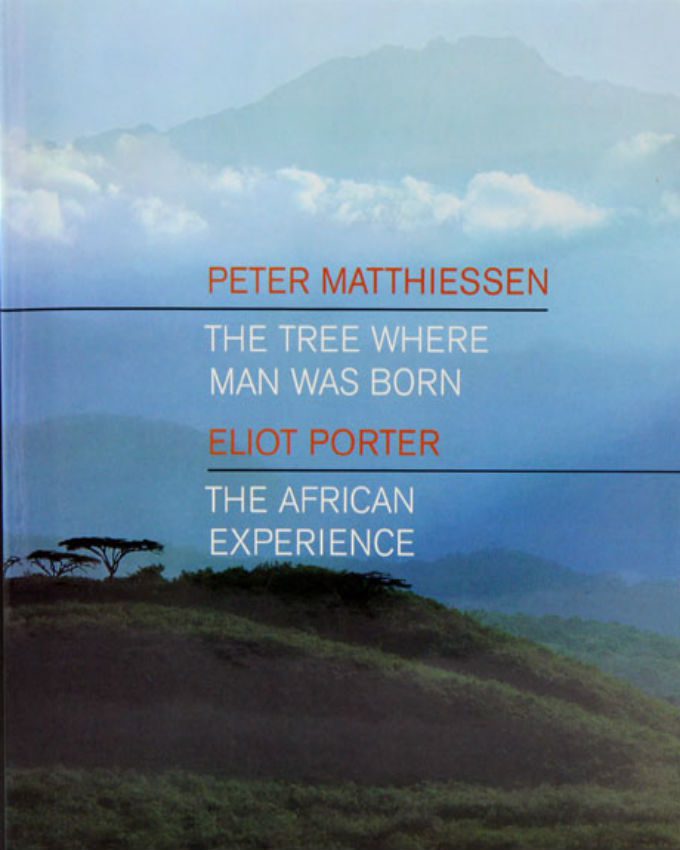 The-tree-where-man-was-born