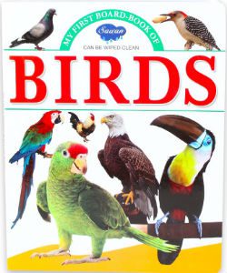 e062ebc9-ccb6-4bfc-a4fc-804f4e7b2358_full