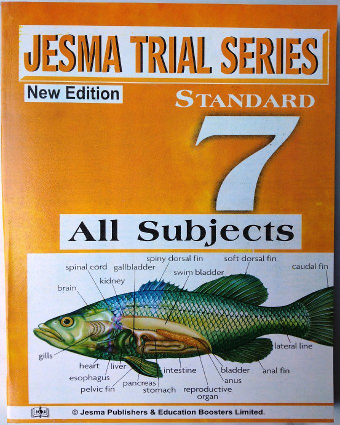 jesma-class-seven