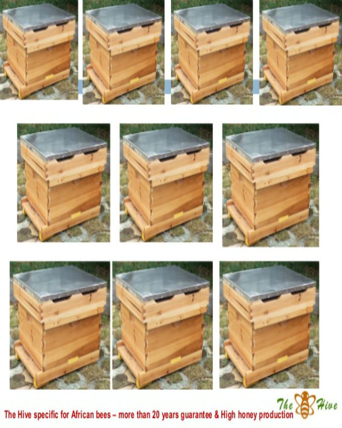 the-hive-bee-hives
