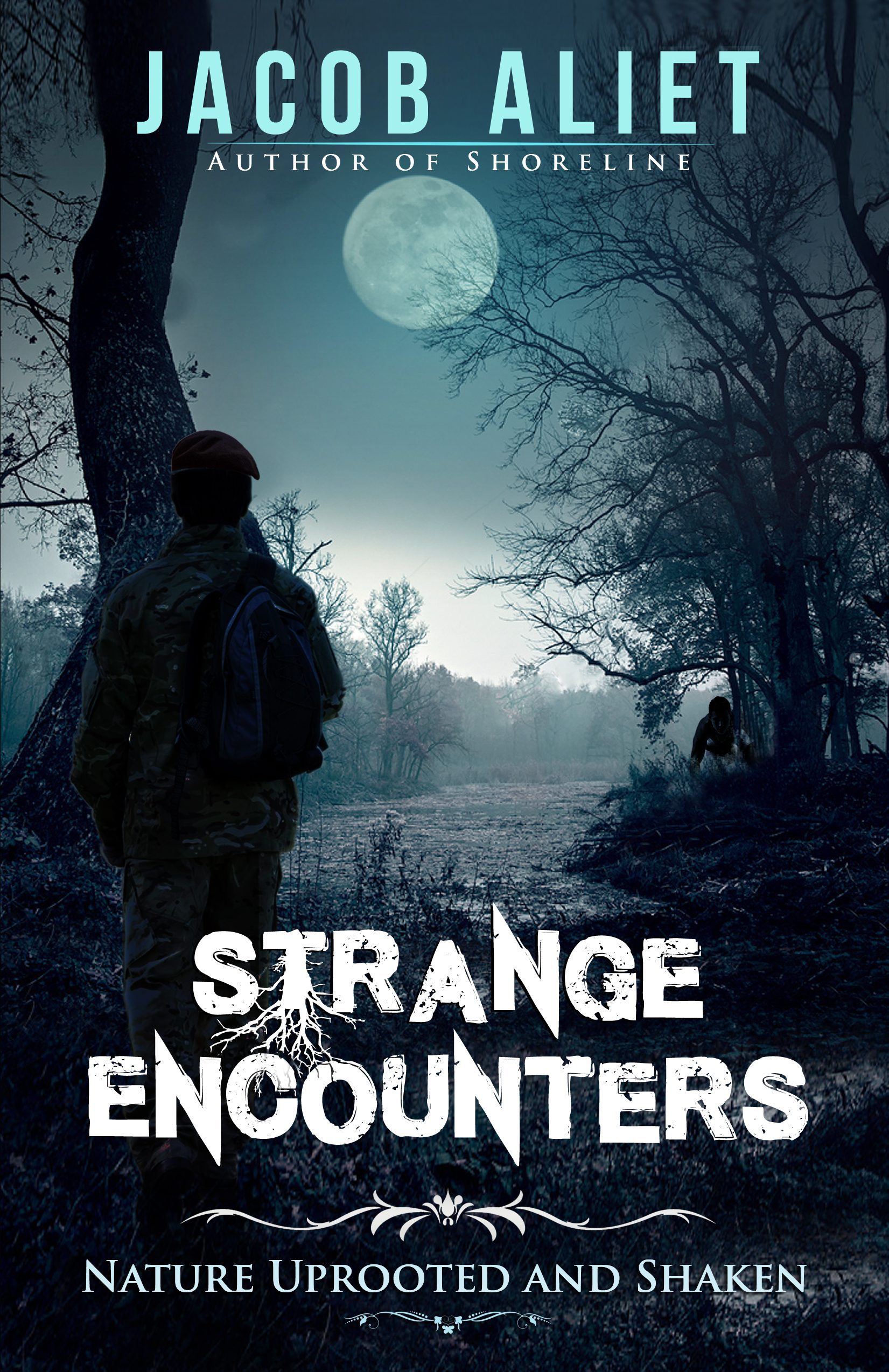 STRANGE ENCONUTER FRONT