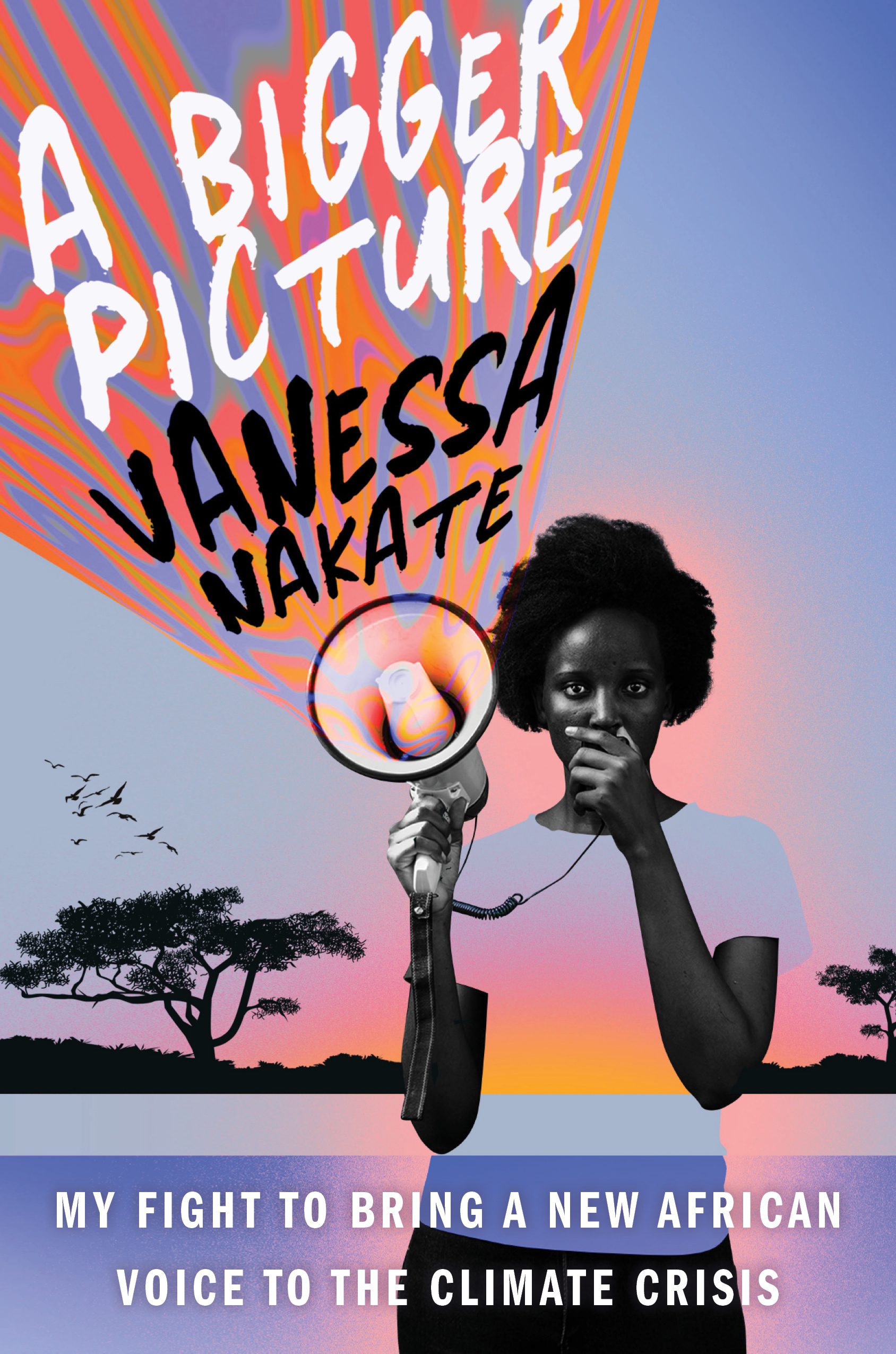 a bigger picture vanessa nuriakenya