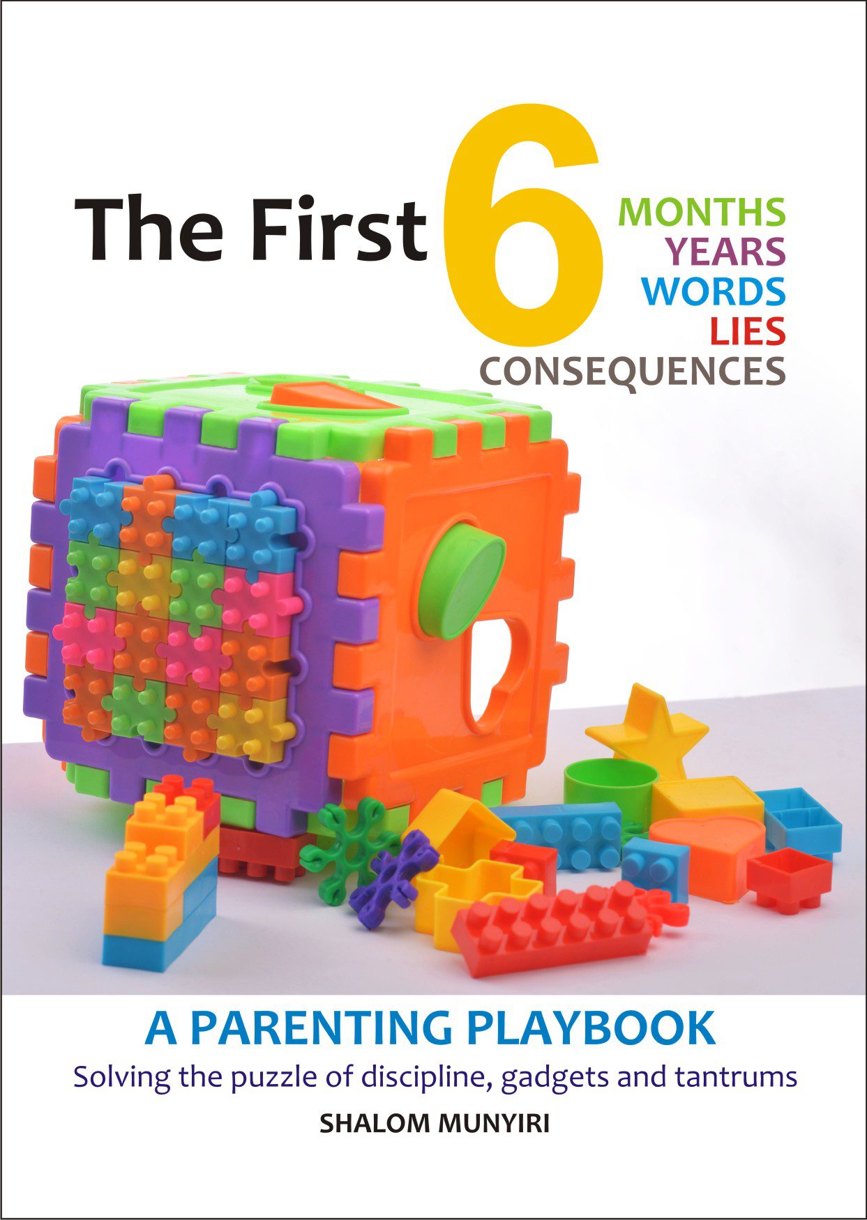 First 6 Playbook Front Cover
