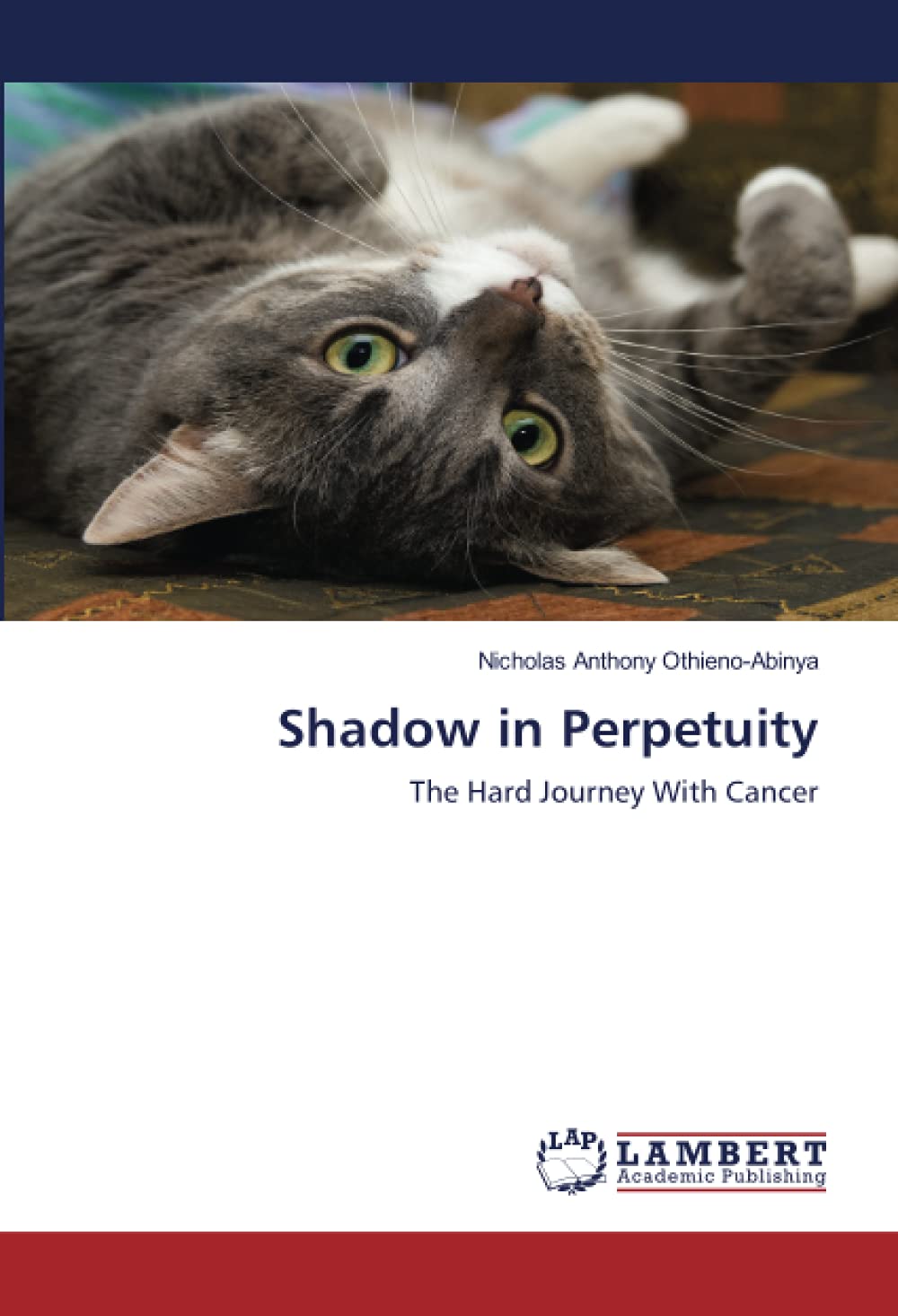 Shadow in Perpetuity The Hard Journey With Cancer nuriakenya