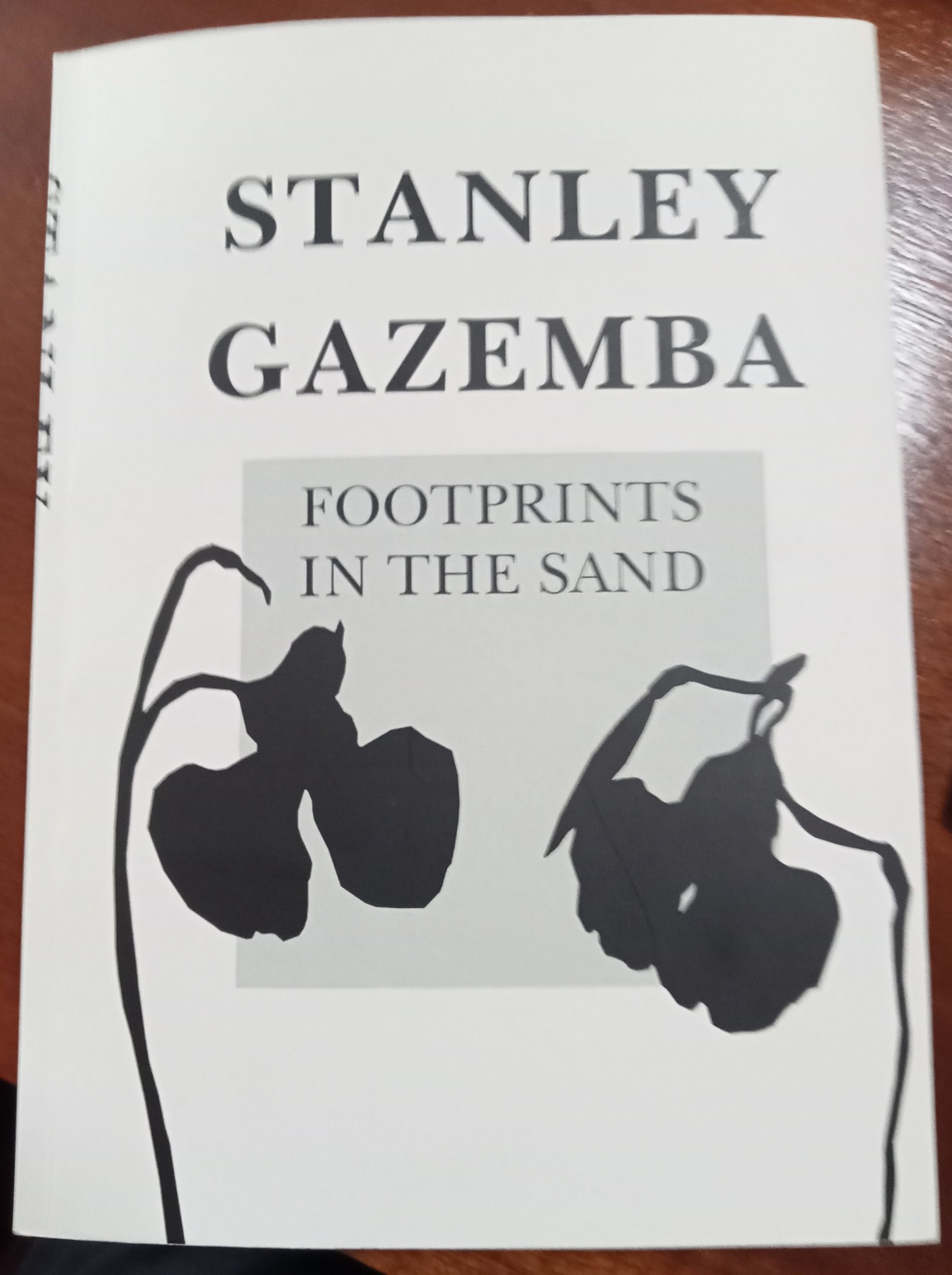 Footprints pic2