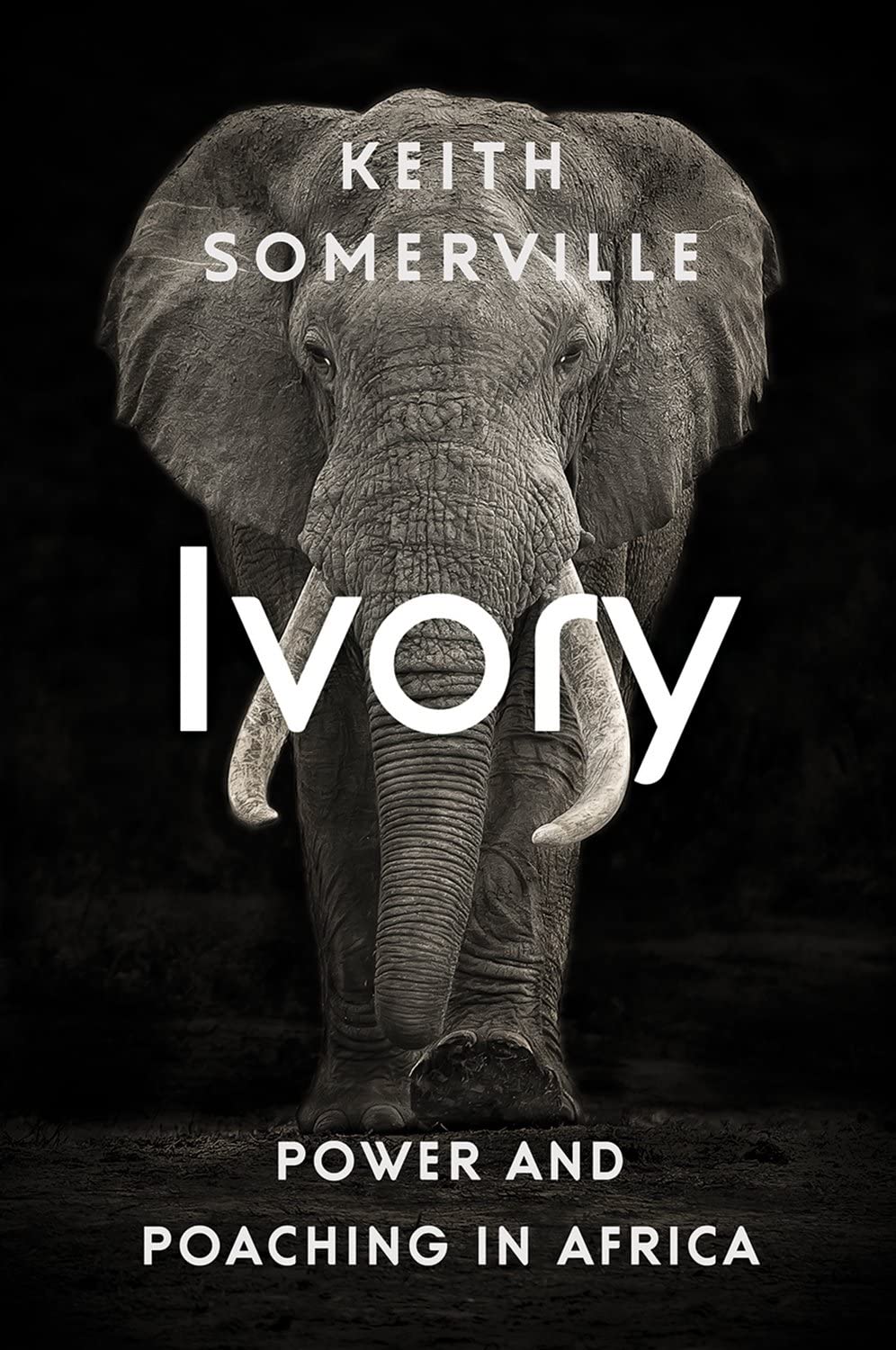 Ivory nuriakenya