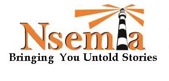 Nsemia Inc Publishers