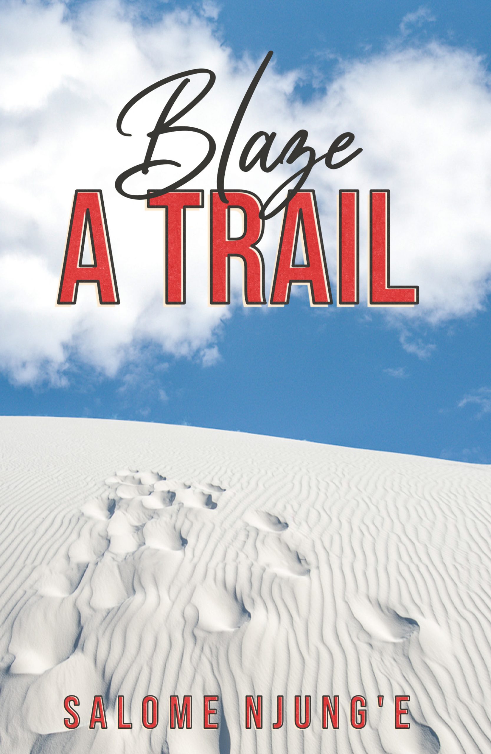 blaze ebook cover