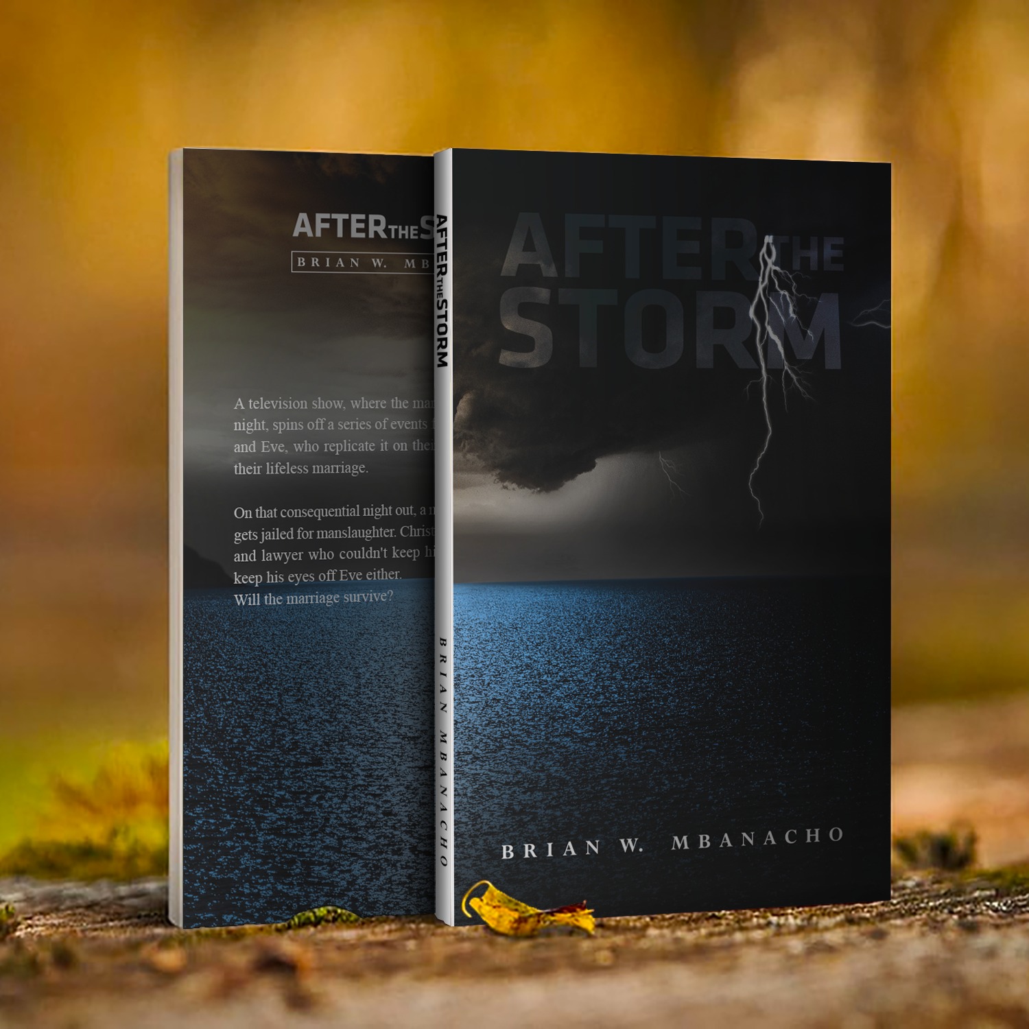 After The Storm