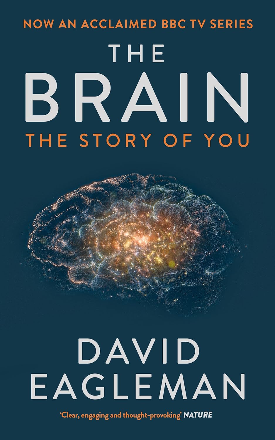the brain the story of you