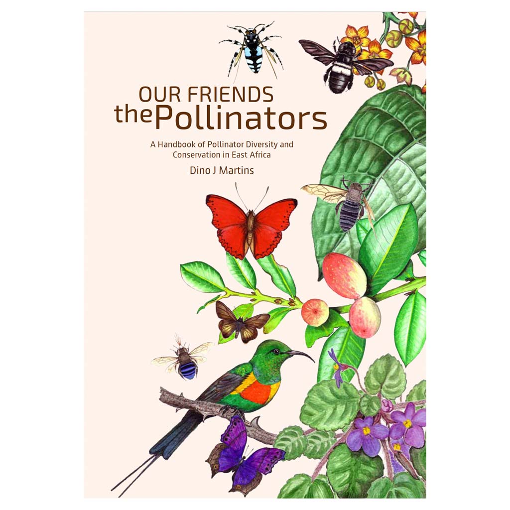 Our Friends the Pollinators
