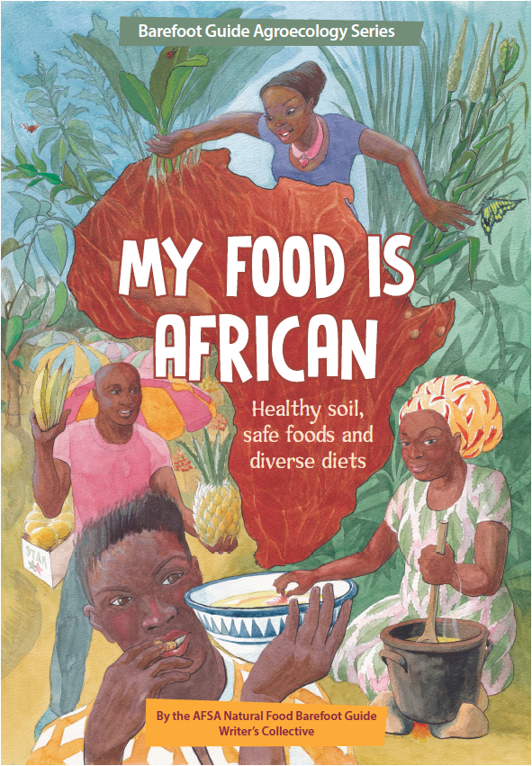 my food is african
