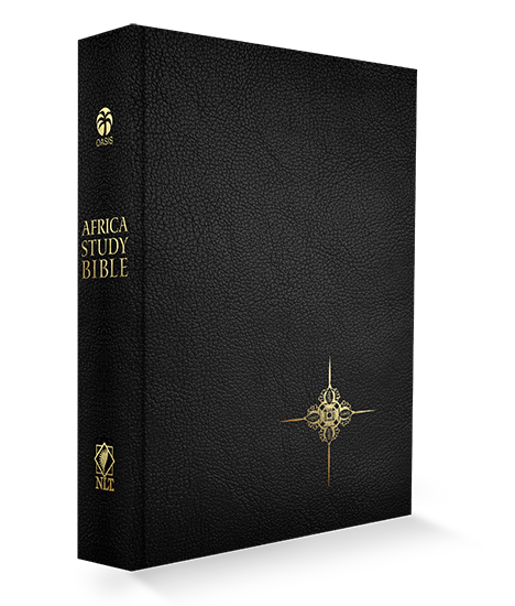 ASB-PU-LEATHER-BLACK-copy