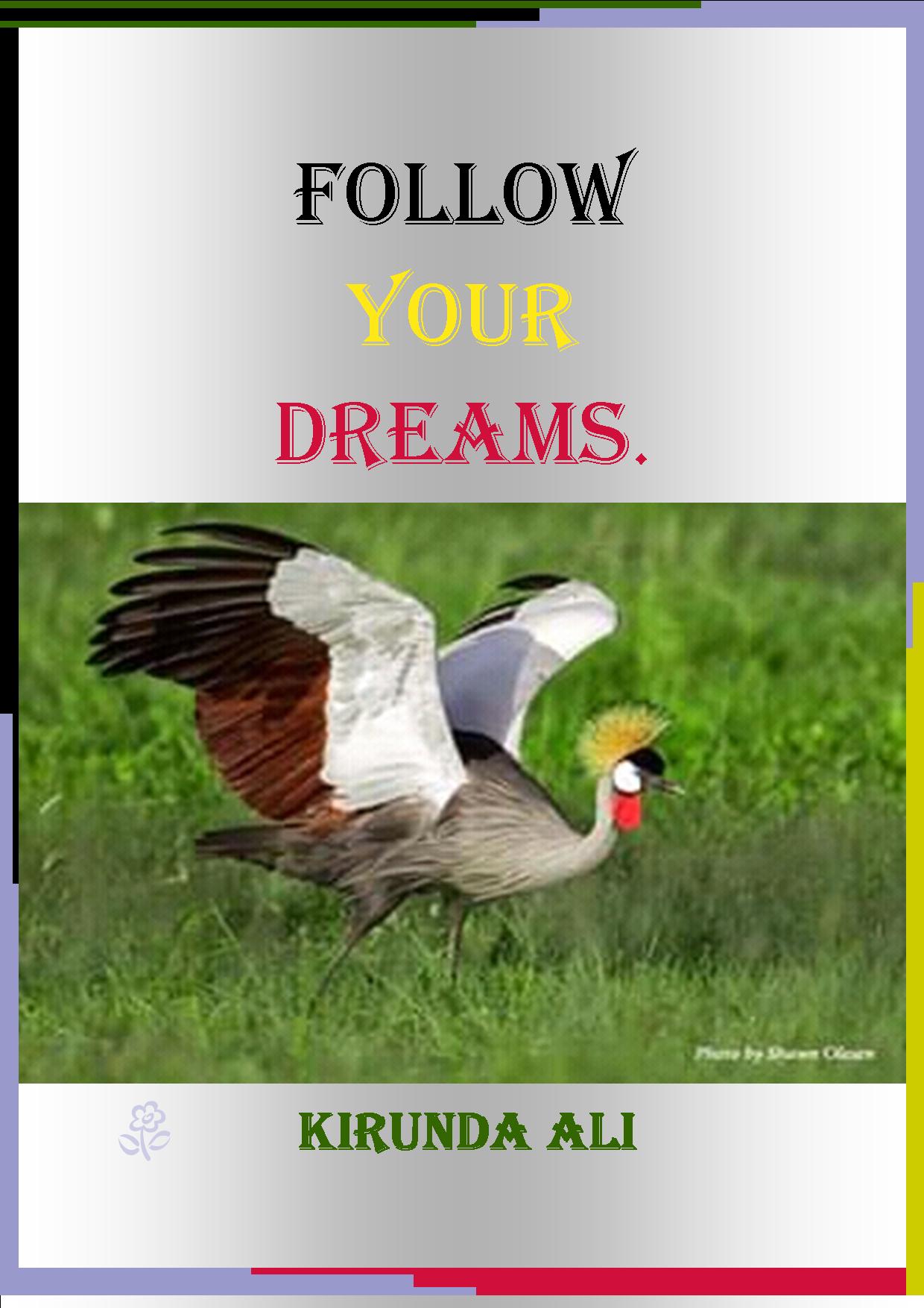 FOLLOW YOUR DREAMS BOOK COVER 1