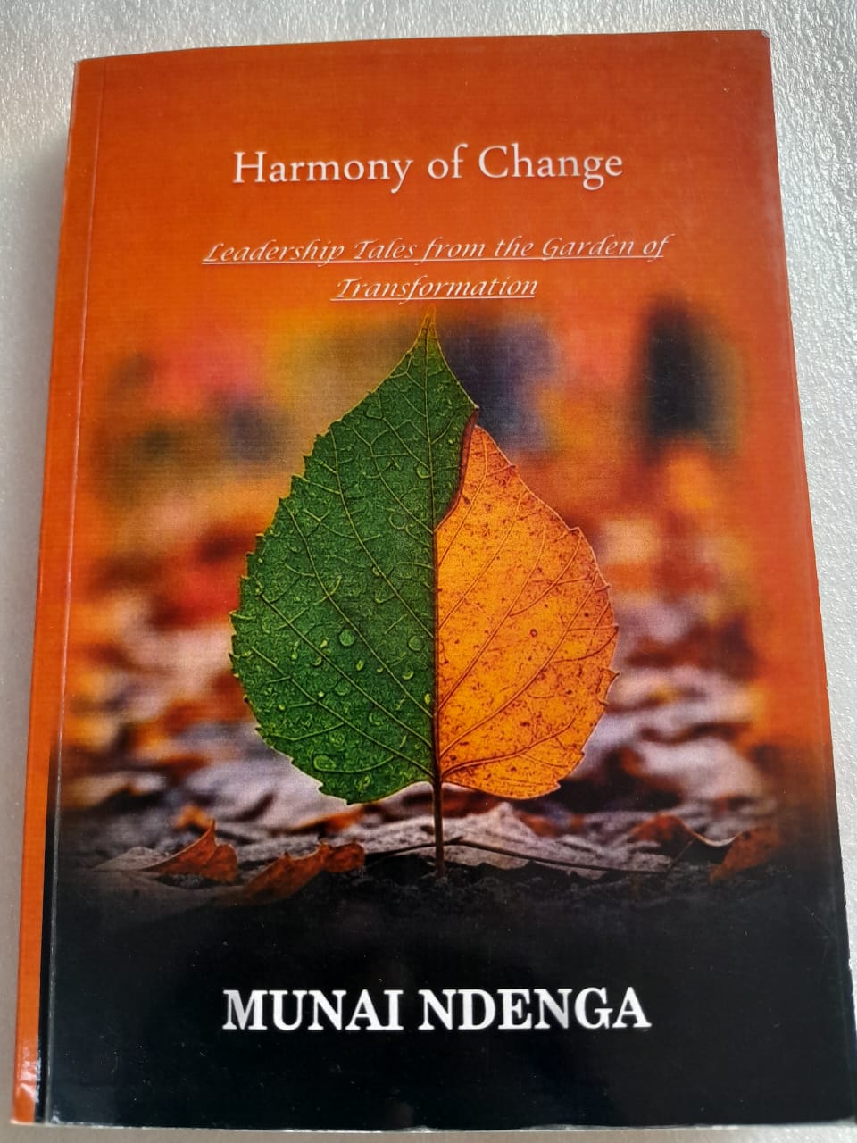 HARMONY OF CHANGE PIC
