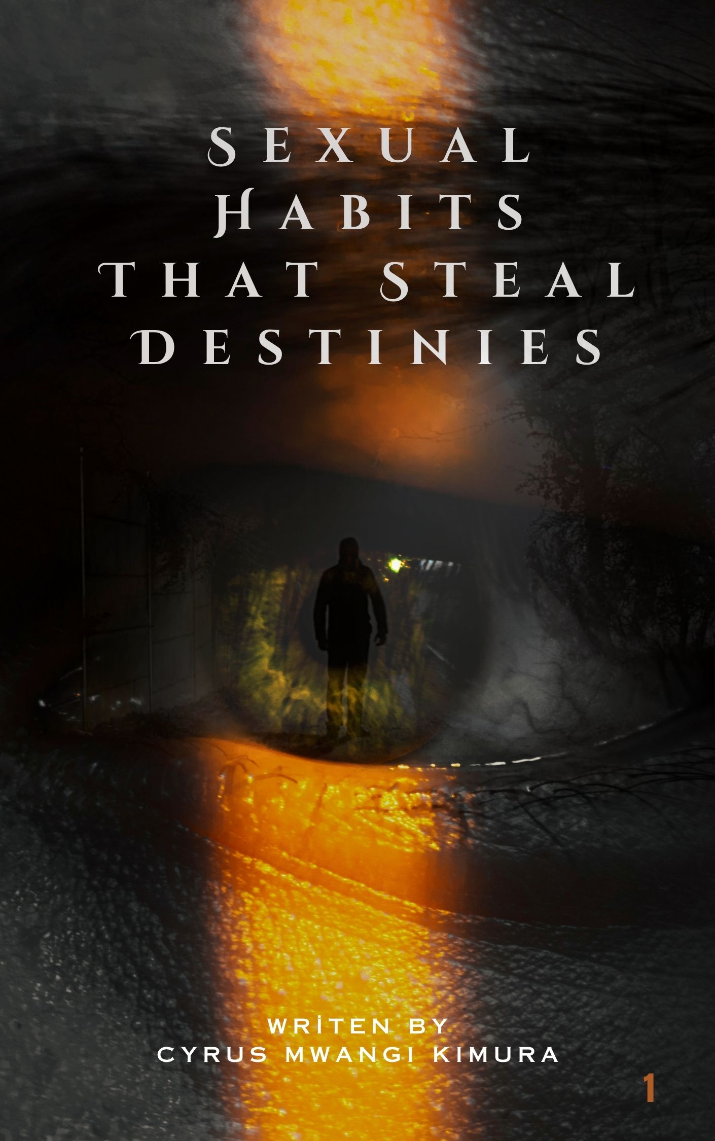Sexual Habits that Steal Destinies Cover