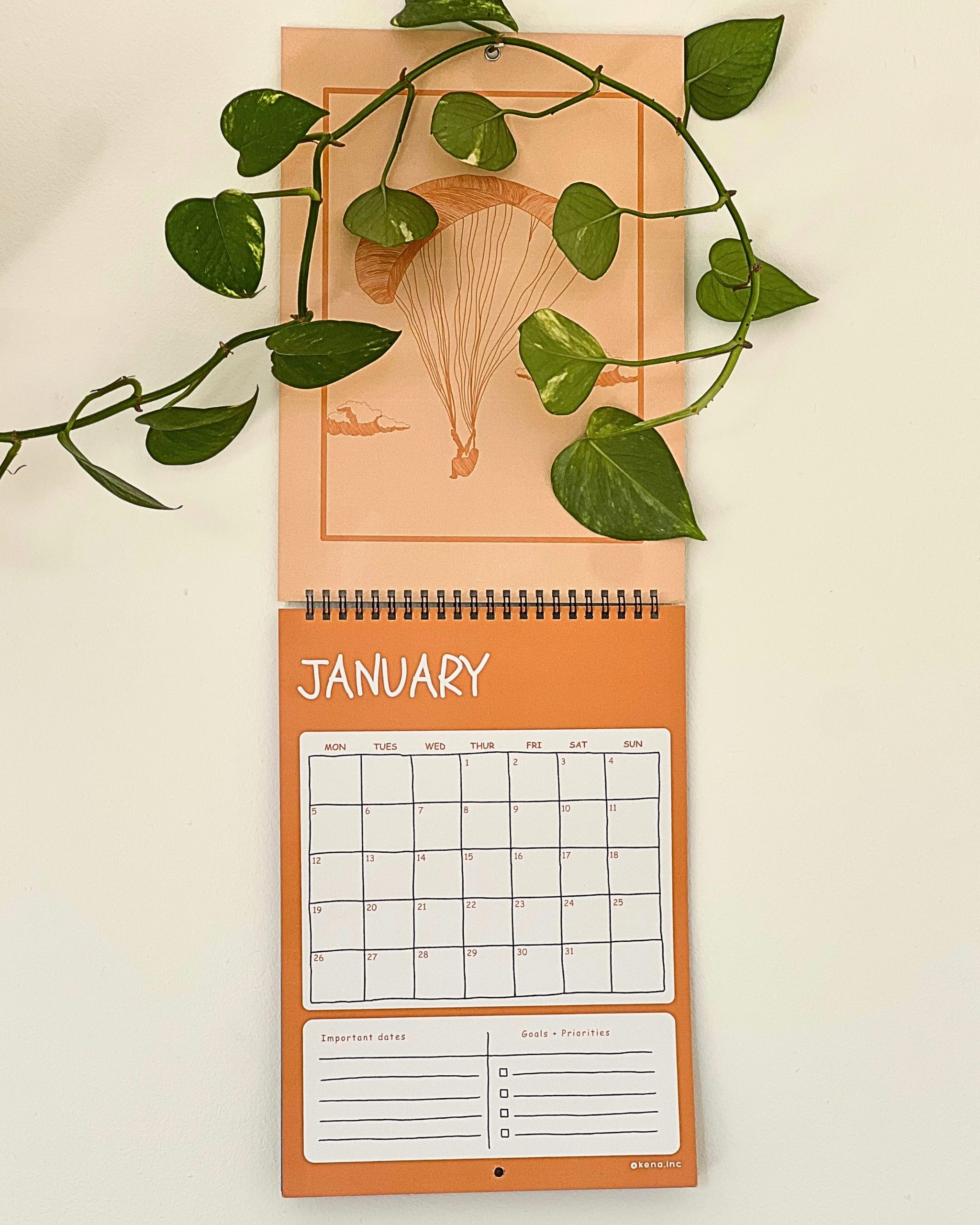 Copy of Websyt product photos - 201