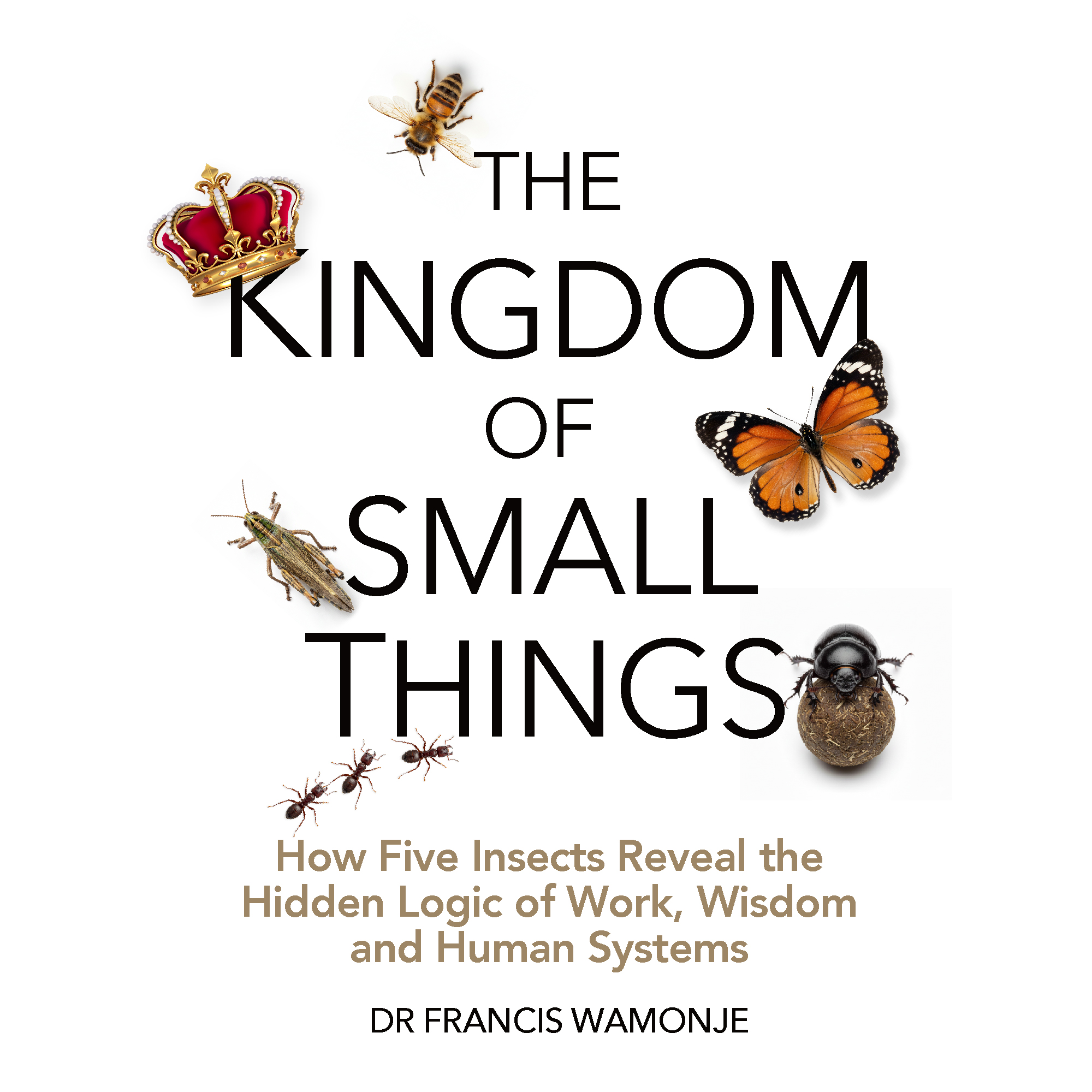 How Five Insects Reveal the Hidden Logic of Work, Wisdom and Human Systems