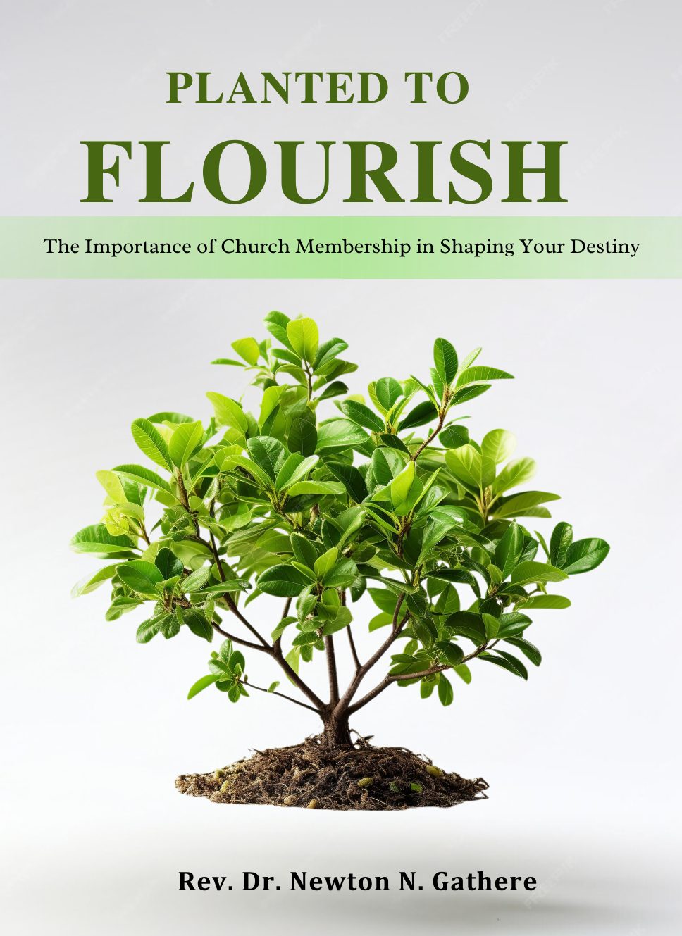 PLANTED TO FLOURISH. Front cover