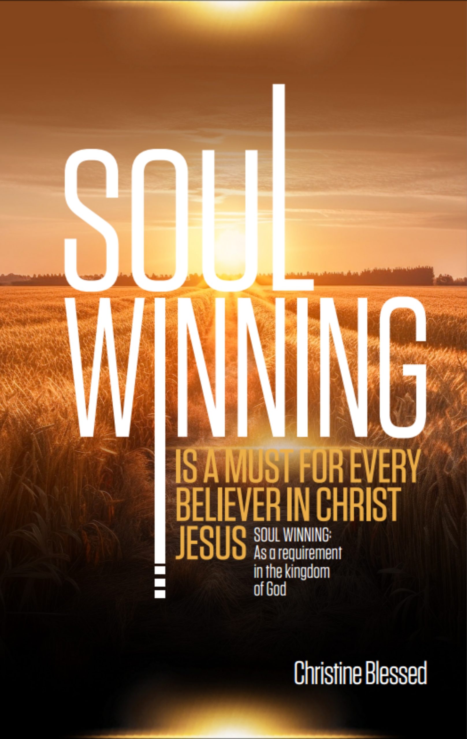 Soul Winning - Christine full cover_Page 2