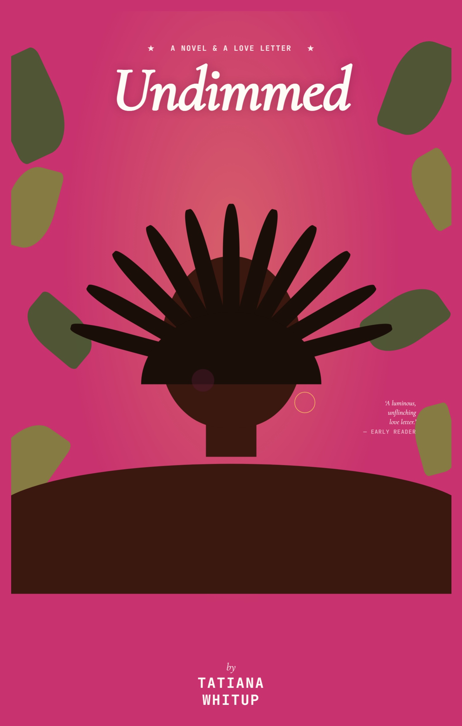 undimmed-front-cover