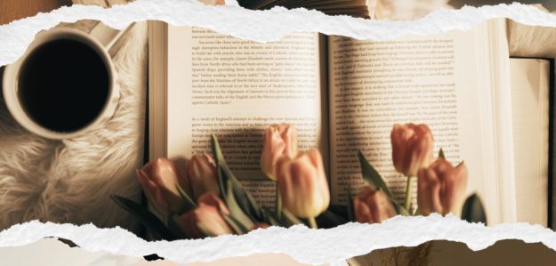 Books by Nedi